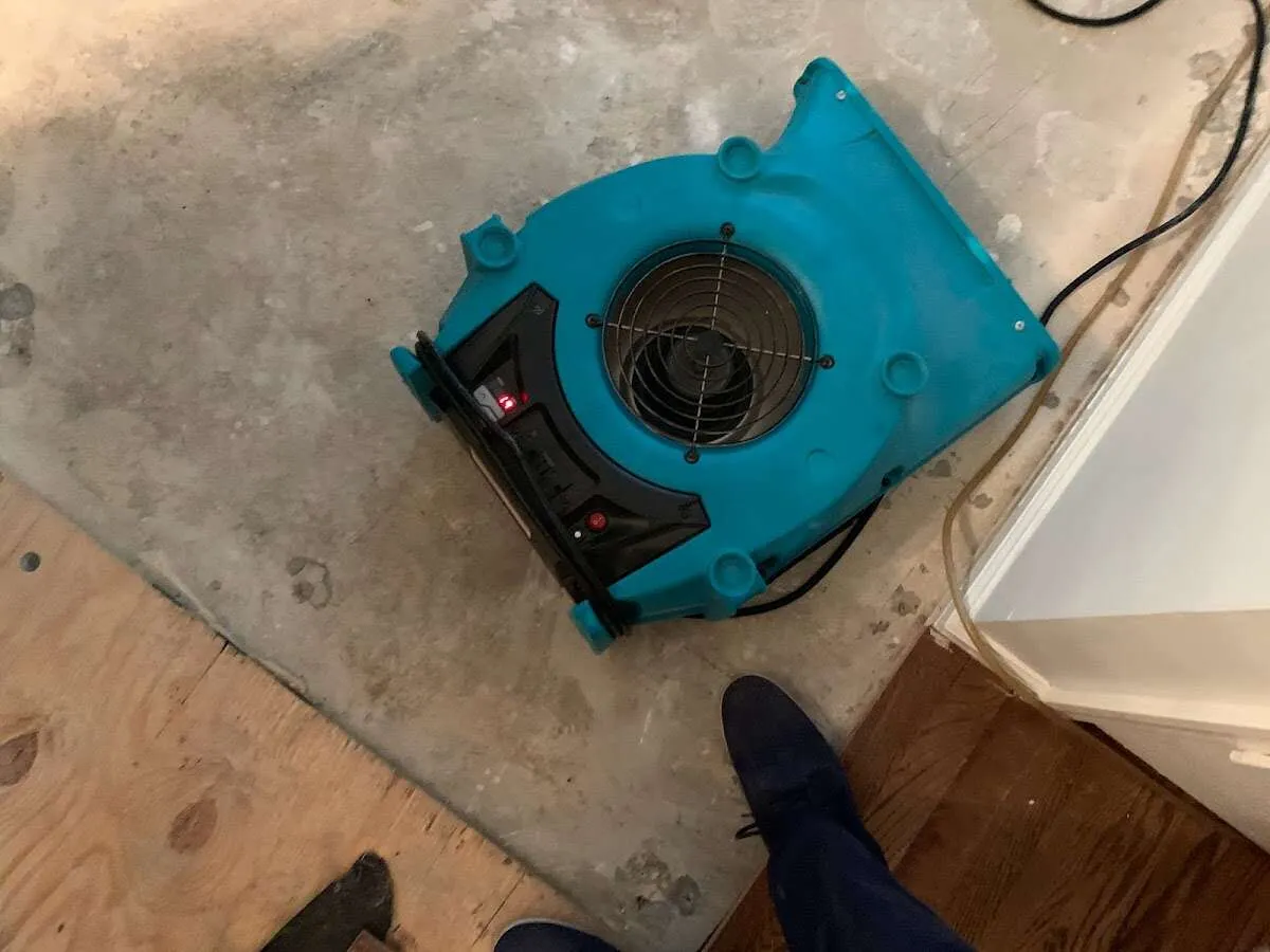 Air mover drying subfloor during Commercial Water Damage Restoration in Oxford